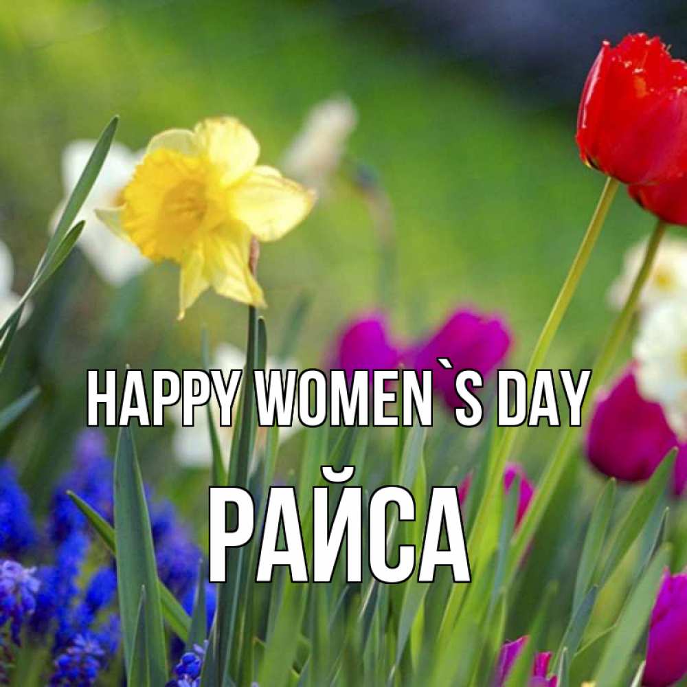 Greetings card с именем, РАЙСА happy women`s day международный женский день 3 Greetings with text for free download 